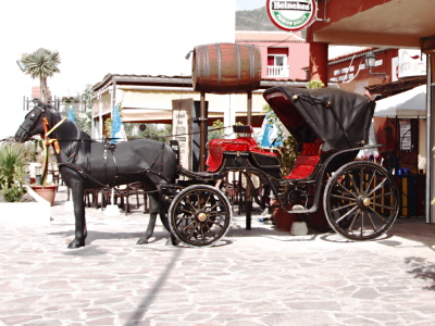 Not Even a One Horse Town Plus Gangsters and Heroes in Tenerife News of the Week